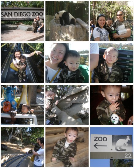 san-diego-zoo.jpg