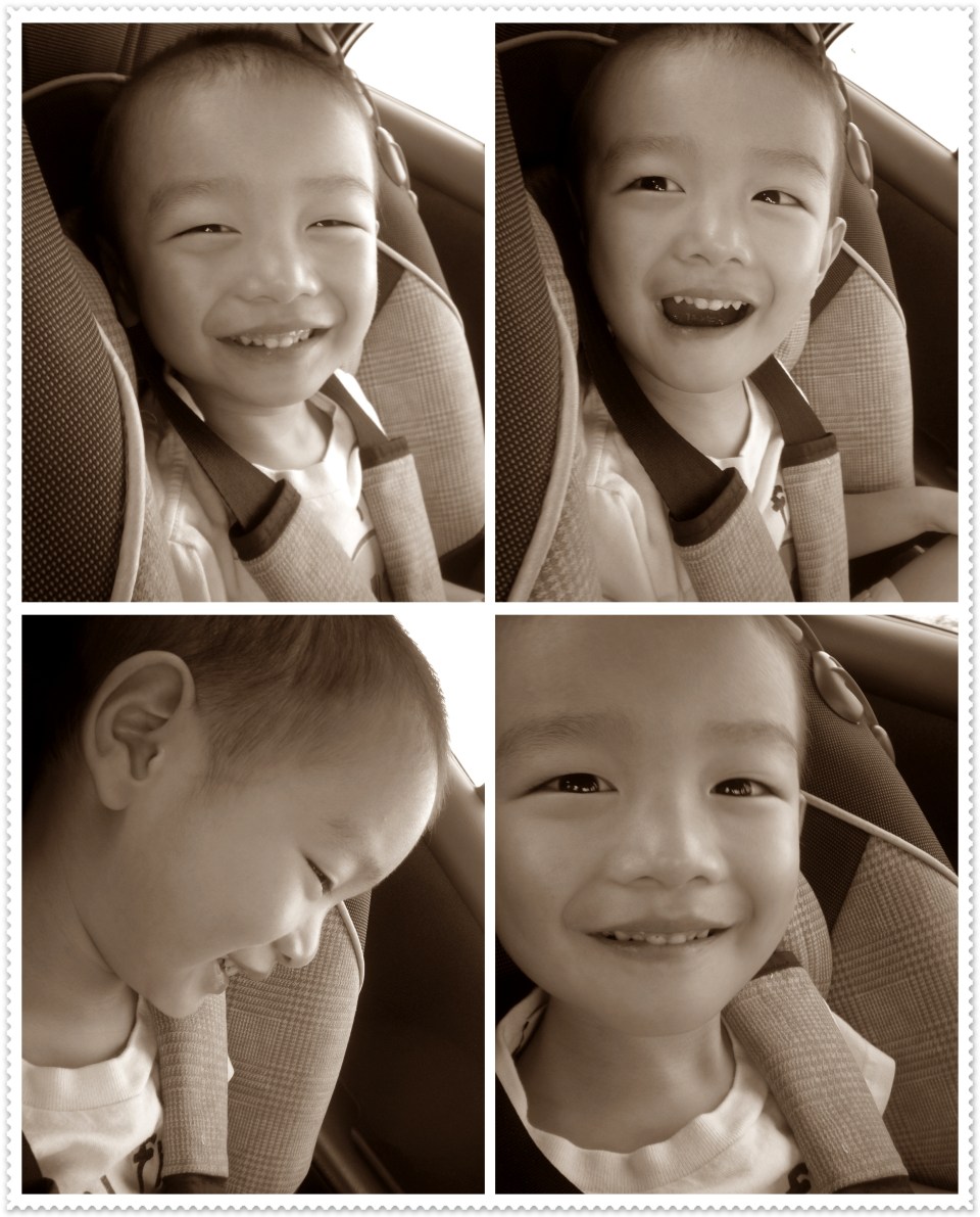 sf7 - andrew carseat