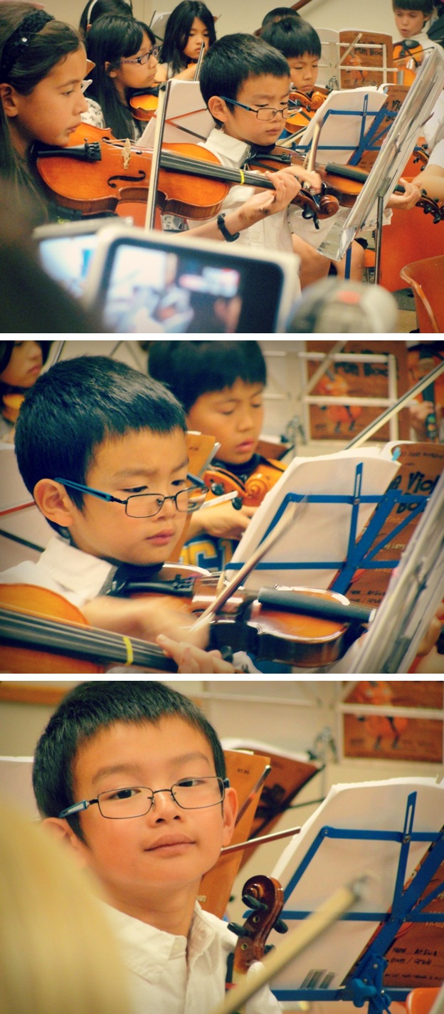 andrew violin collage