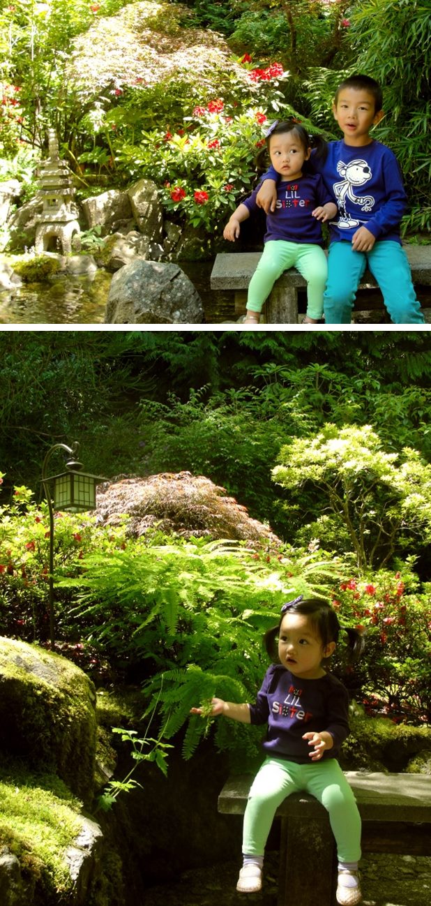 japanese garden3-vert