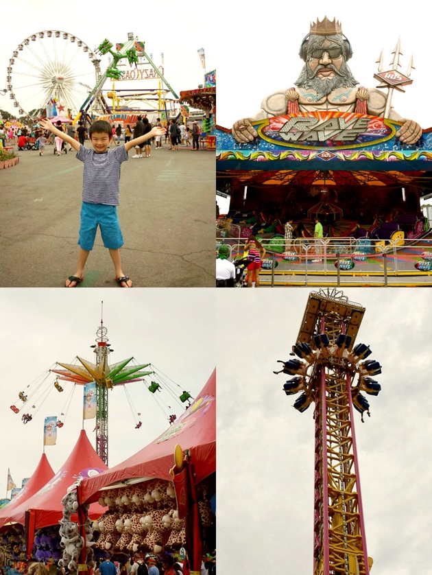 oc fair collage