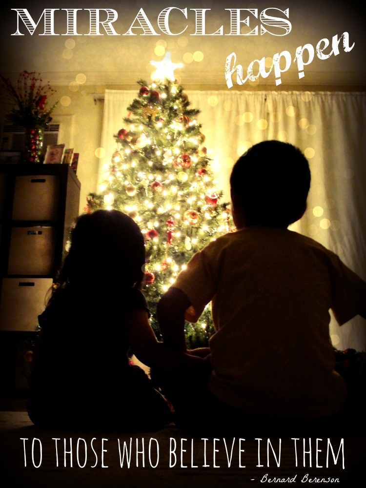 xmas tree 2013 resize