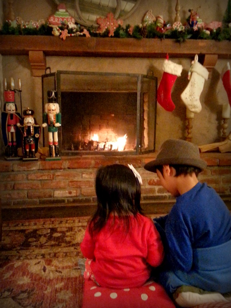 3 fireplace 2