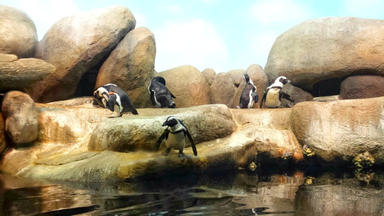 day 3 academy of science 7