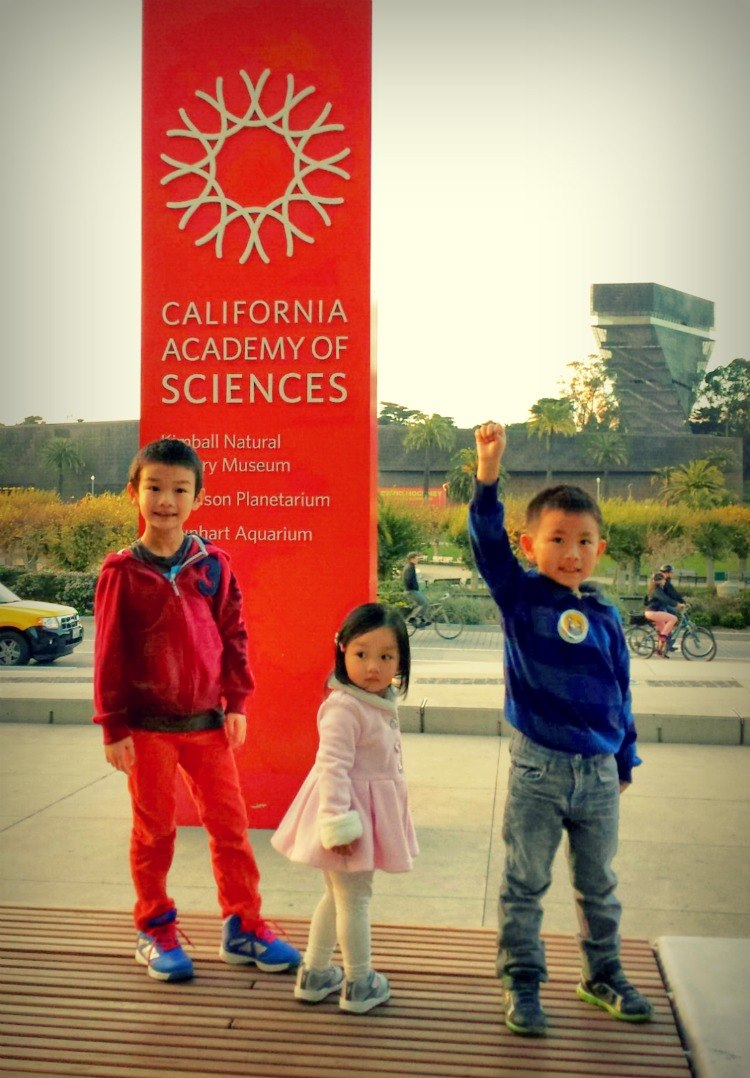 day 3 academy of science 8