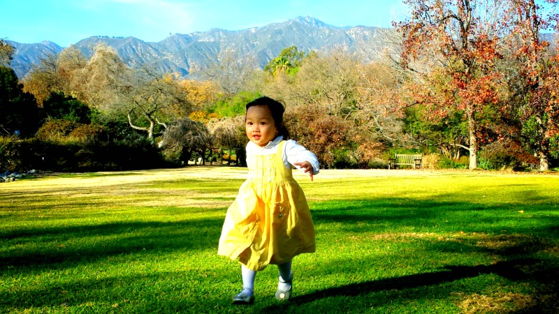 meadowbrook (2)