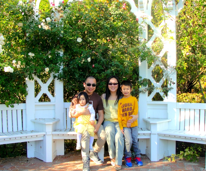 rose garden 2