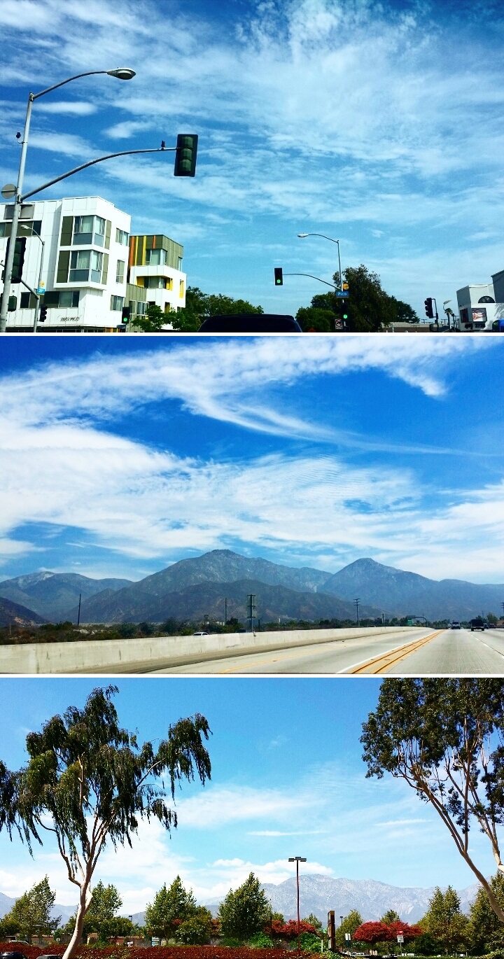 IMG_20140725_163823-vert