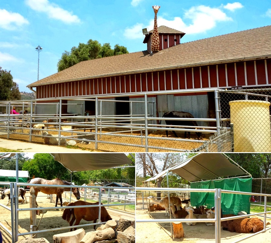 20140720_124012-vert