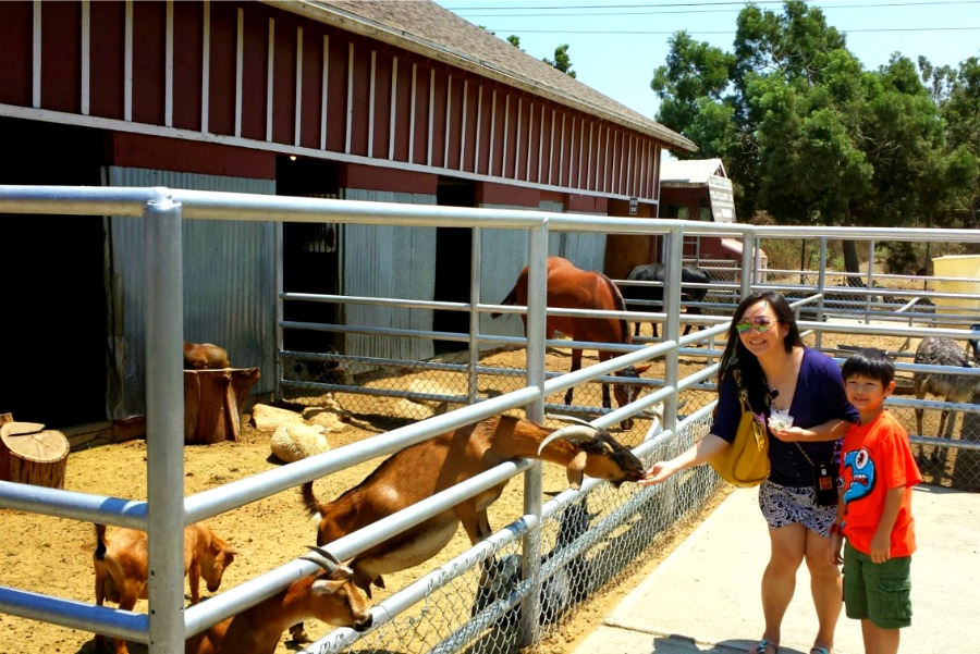 20140720_130840-SMILE