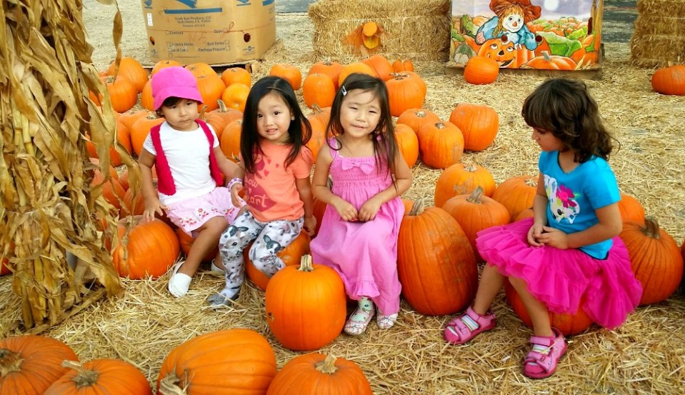 pumpkin patch1