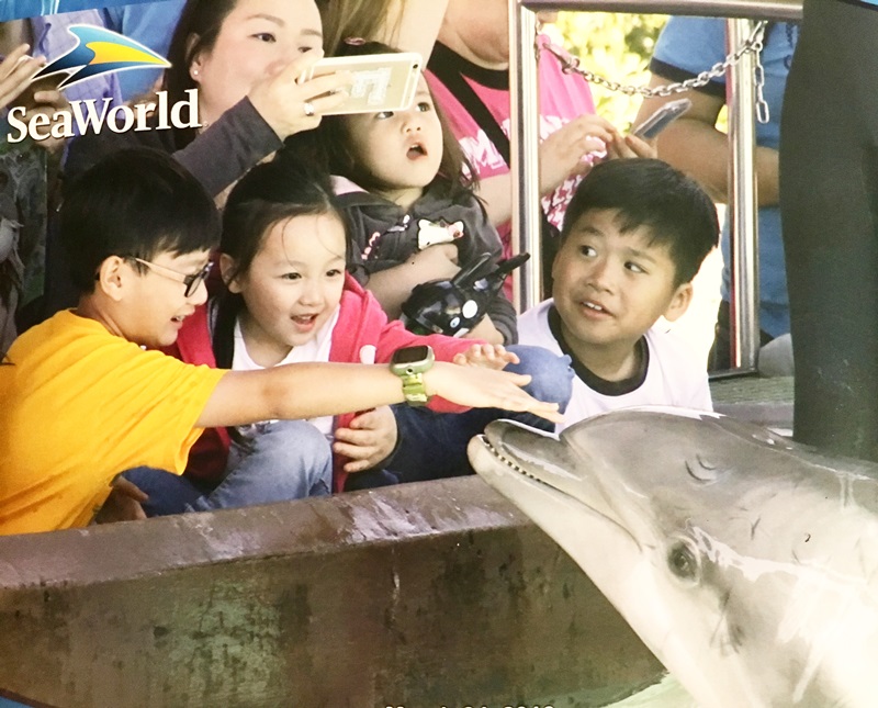 seaworld15