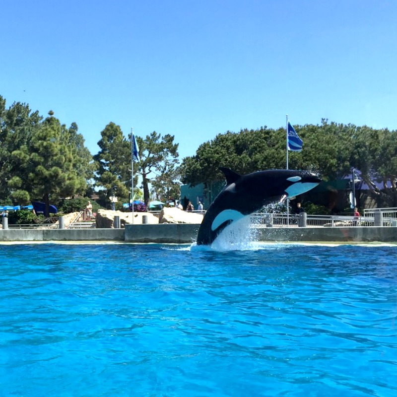 seaworld7